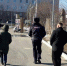 Профилактический выезд специалистов комитета в ЗАТО Александровск - Комитет по ветеринарии