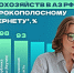 Мурманская область по подключению к широкополосному интернету домохозяйств в Арктике занимает третье место - Арктик-ТВ