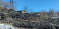 На Кольском полуострове зафиксировано первое в этом году возгорание травы - Мурманский вестник