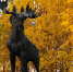 мурманск охота природа животные - ИА Nord-News.Ru