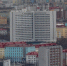 В Мурманске до конца мая будут травить крыс - SeverPost.ru