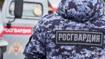 Росгвардия задержала женщину за агрессивное поведение в мурманском диско-баре