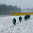 Мужчины идут в поле - ИА Nord-News.Ru