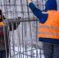 Зафиксирован трехкратный рост - ИА Nord-News.Ru