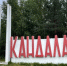 240 самбистов примут участие в соревнованиях в Кандалакше - SeverPost.ru