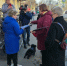 В Мурманске специалист регионального комитета по ветеринарии проверила, соблюдают ли северяне культуру выгула животных - Мурманский вестник