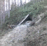 мурманск кандалакша заповедник птица - ИА Nord-News.Ru