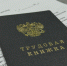 Трудовая книжка - ИА Nord-News.Ru