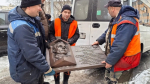 Городские власти произвели замен