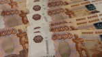 Ликвидацию бывшей птицефабрики «Снежная» под Мурманском проведут за счёт федеральных денег