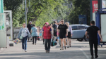 В Мурманской области до +26°