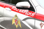 В Мурманске росгвардейцы задержали мужчину, нарушавшего общественный порядок на проспекте Ленина