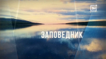 Заповедник: «Понеслось». Старт сезона