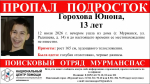 13-летняя девочка пропала в Мурманске