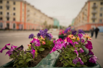 Мгновения северного лета в кадре