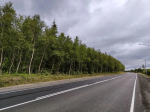 Фото: официальный сайт правительства Мурманской области