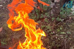 Повышенный класс пожарной опасности ожидается в Печенгском округе