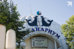 В океанариуме Мурманска рассказали, как продвигается жизненно важный для него ремонт