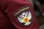 Итоги предшкольной «горячей линии» мурманских экспертов Роспотребнадзора: что волновало родителей больше всего?