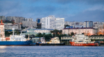 В России вводится новый порядок определения основного и дополнительных ОКВЭД